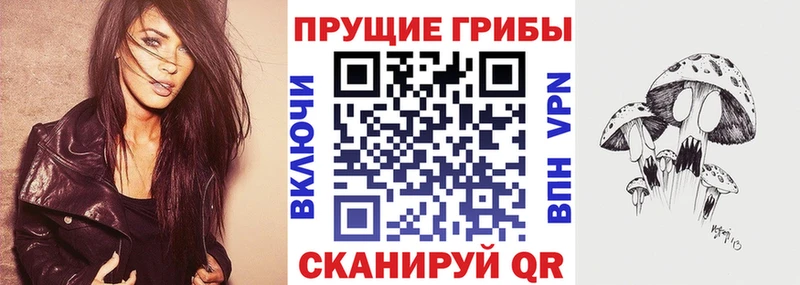 Псилоцибиновые грибы Psilocybe  Купить  Славск 
